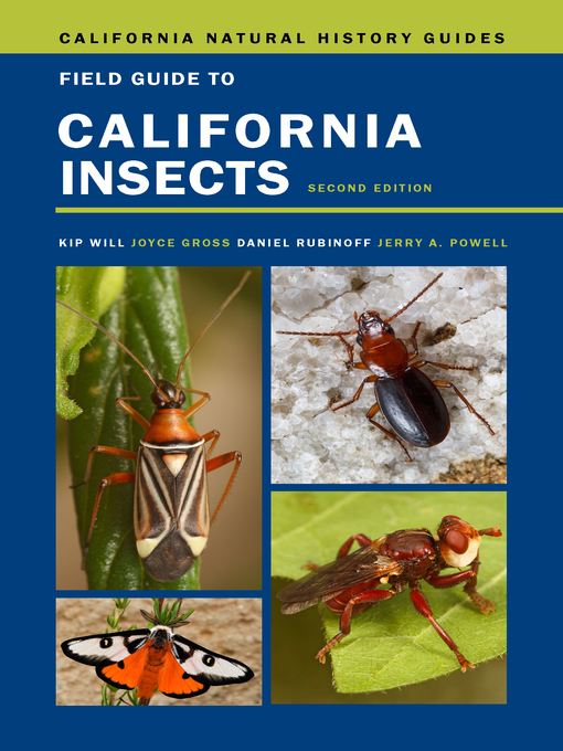 Title details for Field Guide to California Insects by Kip Will - Available